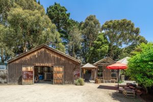 Red Hill Brewery for Sale